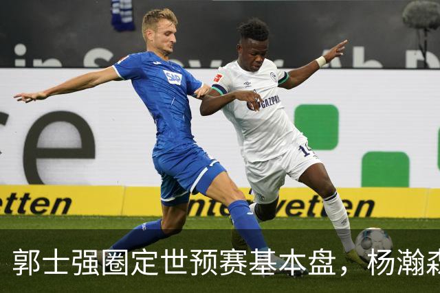 郭士强圈定世预赛基本盘，杨瀚森回归补齐内线拼图，徐杰有新动向！
